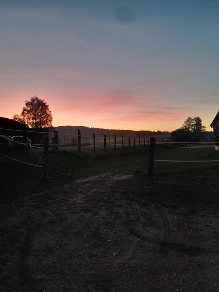 Koppel im Abendrot