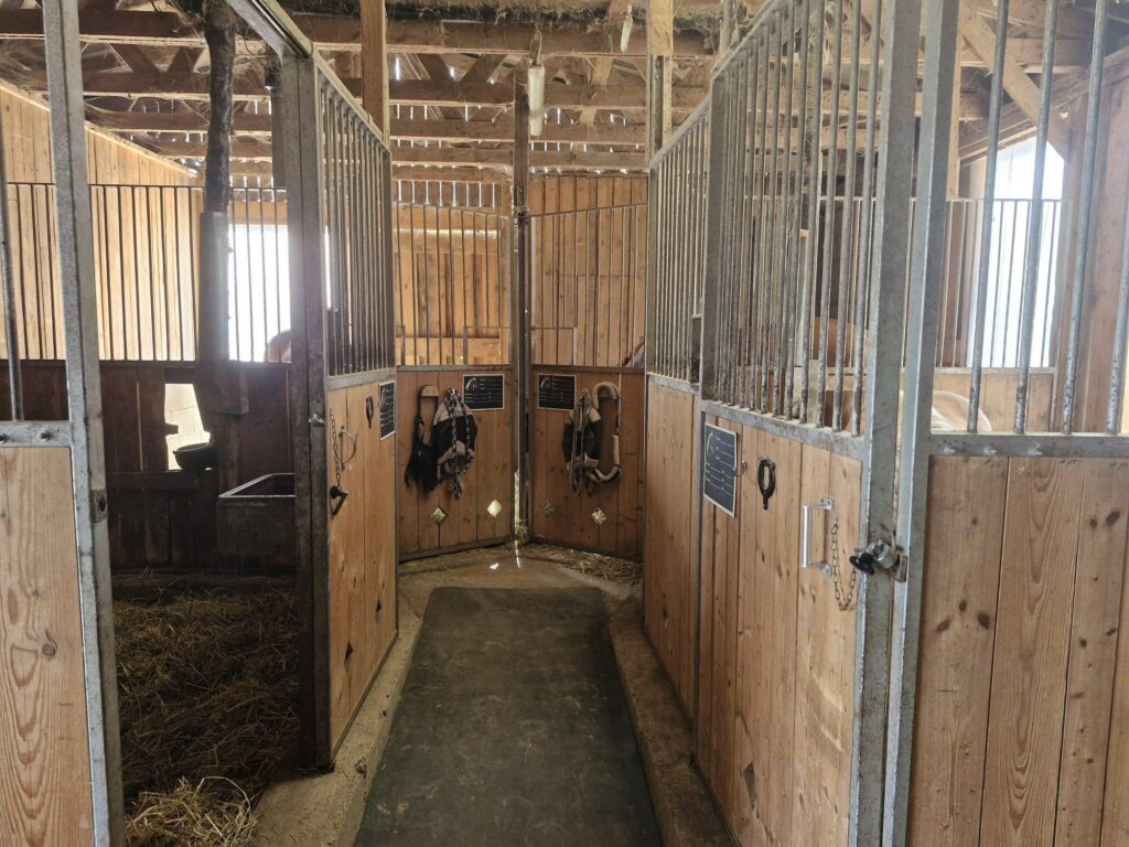 Stallgasse mit Pferdeboxen