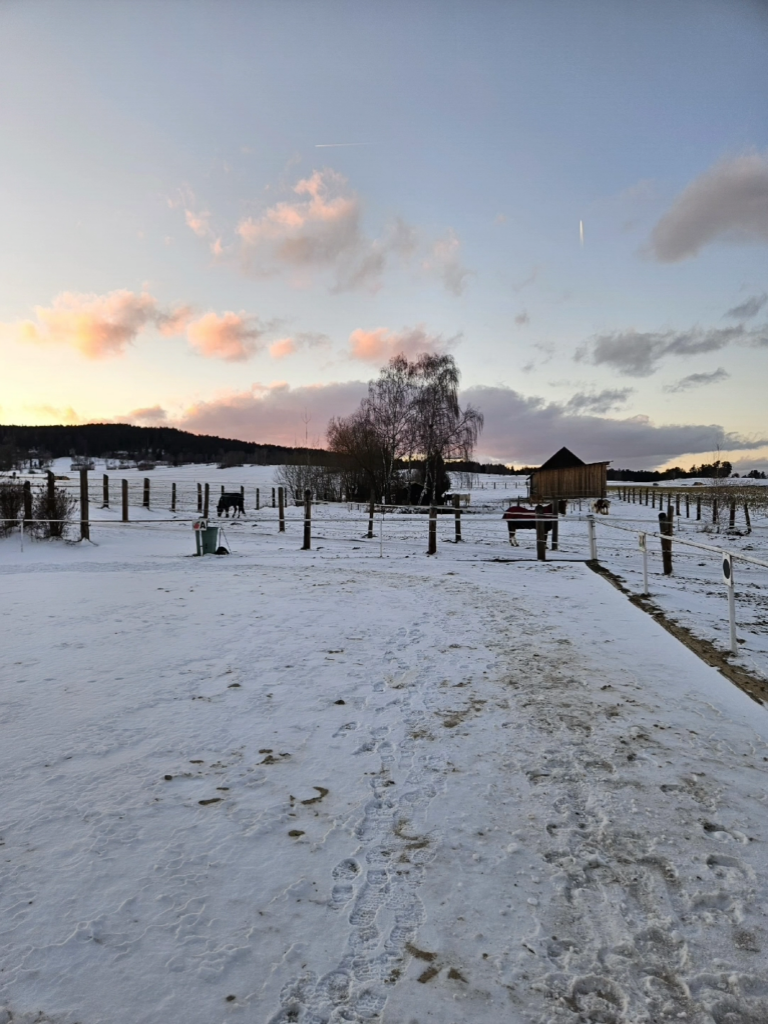 Verschneiter Reitplatz im Winter bei Abendstimmung