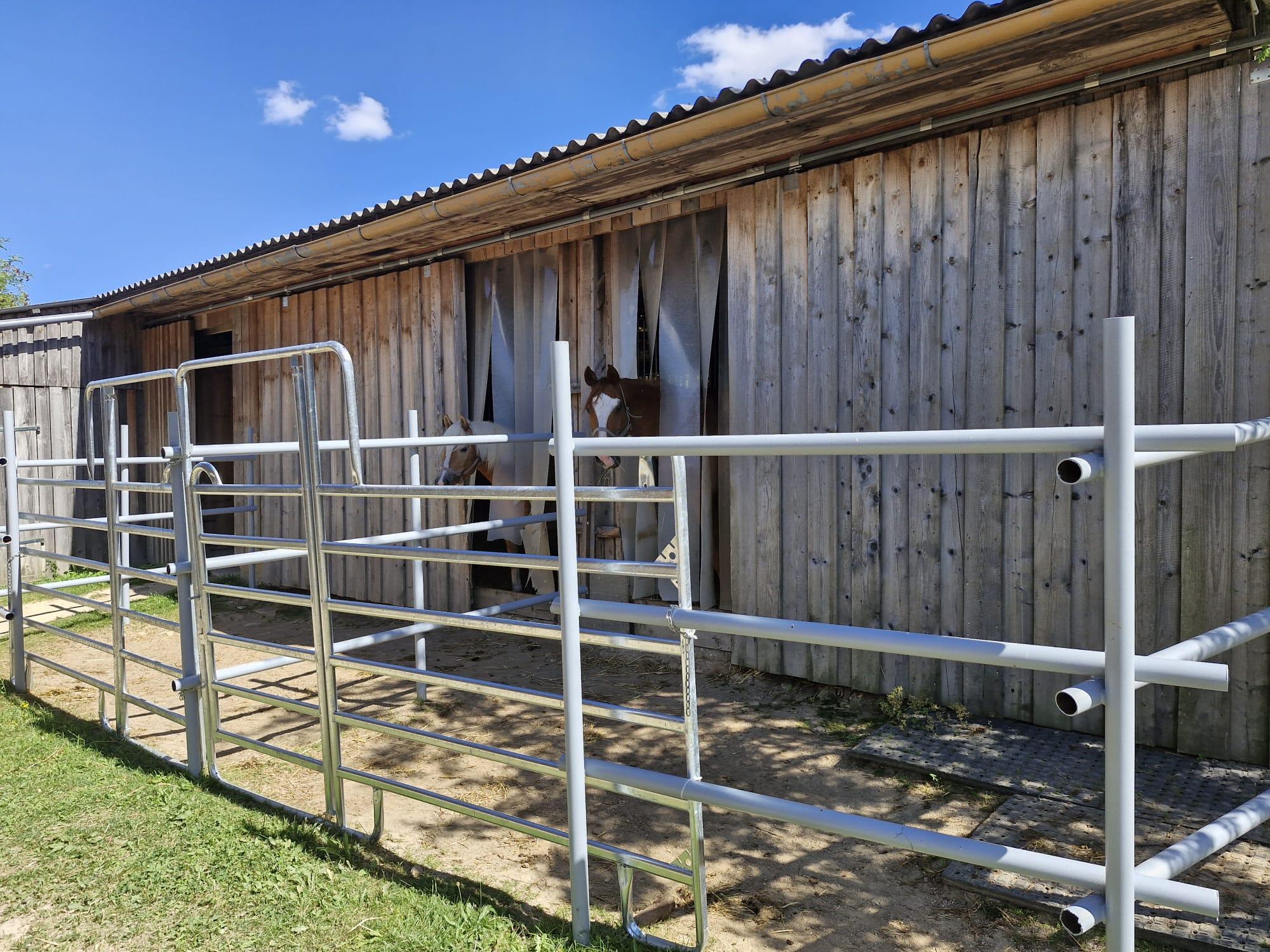 Einstellplätze – Paddock mit überdachtem Unterstand